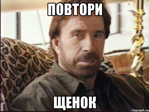 повтори щенок