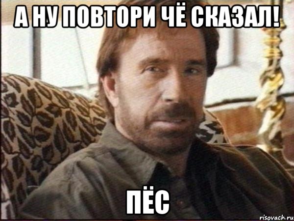 а ну повтори чё сказал! пёс