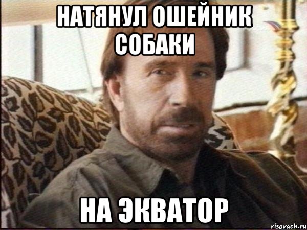 натянул ошейник собаки на экватор