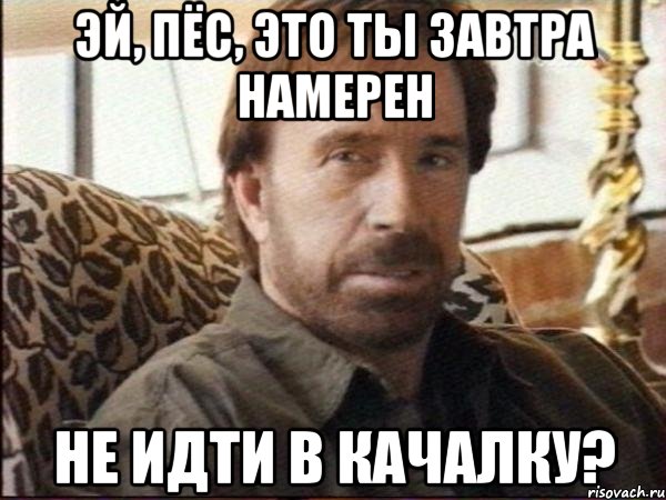 эй, пёс, это ты завтра намерен не идти в качалку?