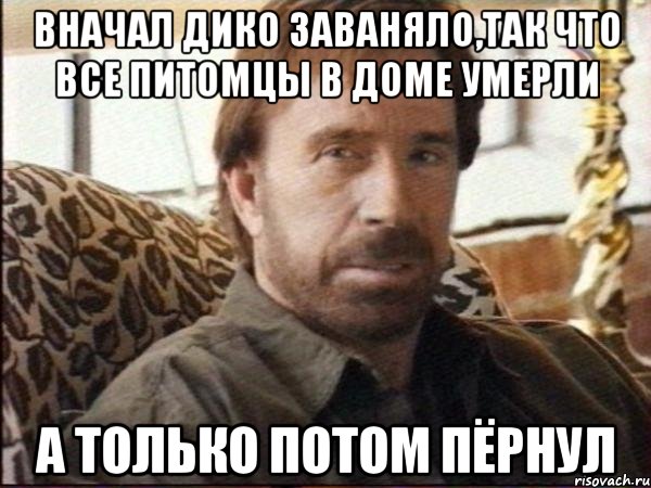 вначал дико заваняло,так что все питомцы в доме умерли а только потом пёрнул