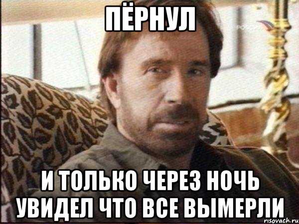 пёрнул и только через ночь увидел что все вымерли