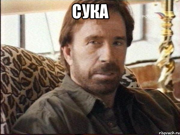 сука 
