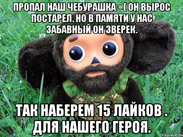 пропал наш чебурашка =( он вырос постарел. но в памяти у нас забавный он зверек. так наберем 15 лайков . для нашего героя., Мем Чебурашка