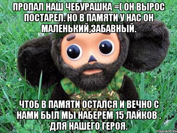 пропал наш чебурашка =( он вырос постарел. но в памяти у нас он маленький,забавный. чтоб в памяти остался и вечно с нами был мы наберем 15 лайков . для нашего героя., Мем Чебурашка