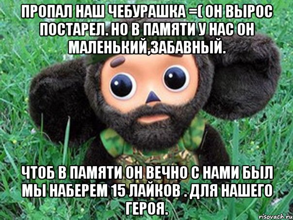 пропал наш чебурашка =( он вырос постарел. но в памяти у нас он маленький,забавный. чтоб в памяти он вечно с нами был мы наберем 15 лайков . для нашего героя., Мем Чебурашка