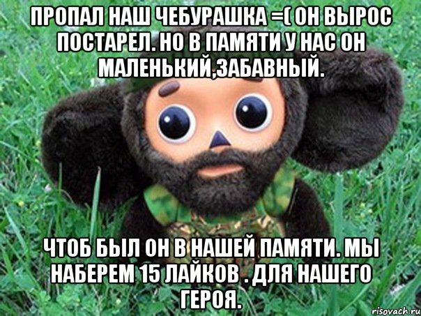 пропал наш чебурашка =( он вырос постарел. но в памяти у нас он маленький,забавный. чтоб был он в нашей памяти. мы наберем 15 лайков . для нашего героя., Мем Чебурашка