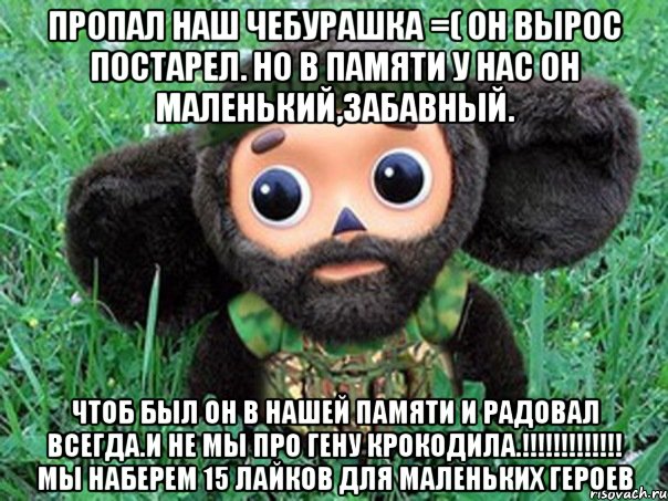 пропал наш чебурашка =( он вырос постарел. но в памяти у нас он маленький,забавный. чтоб был он в нашей памяти и радовал всегда.и не мы про гену крокодила.!!! мы наберем 15 лайков для маленьких героев, Мем Чебурашка