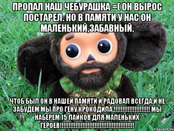 пропал наш чебурашка =( он вырос постарел. но в памяти у нас он маленький,забавный. чтоб был он в нашей памяти и радовал всегда.и не забудем мы про гену крокодила.!!! мы наберем 15 лайков для маленьких героев!!!, Мем Чебурашка