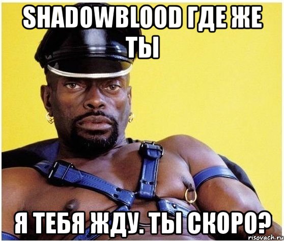 shadowblood где же ты я тебя жду. ты скоро?, Мем Черный властелин