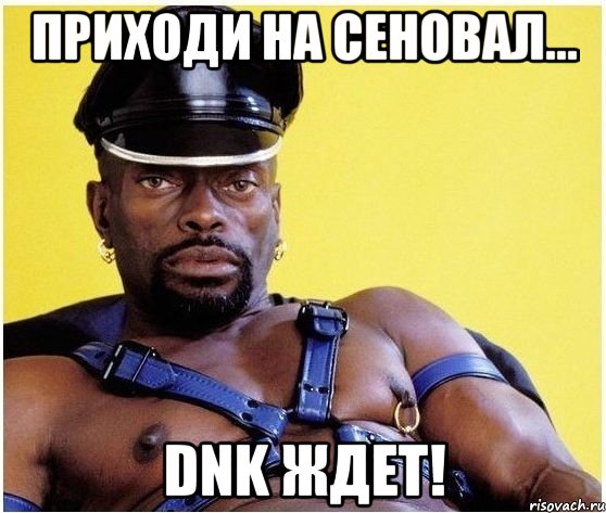 приходи на сеновал... dnk ждет!, Мем Черный властелин