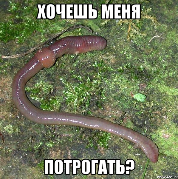 хочешь меня потрогать?