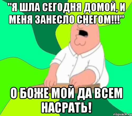 "я шла сегодня домой, и меня занесло снегом!!!" о боже мой да всем насрать!