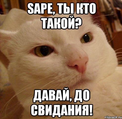 sape, ты кто такой? давай, до свидания!