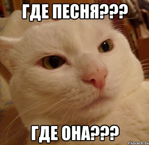 где песня??? где она???