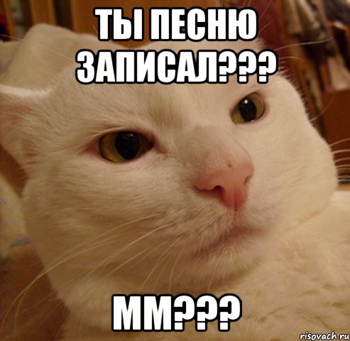 ты песню записал??? мм???, Мем Дерзкий котэ