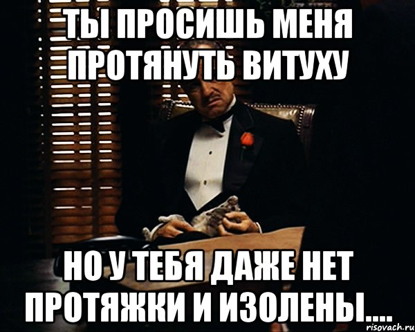 ты просишь меня протянуть витуху но у тебя даже нет протяжки и изолены...., Мем Дон Вито Корлеоне