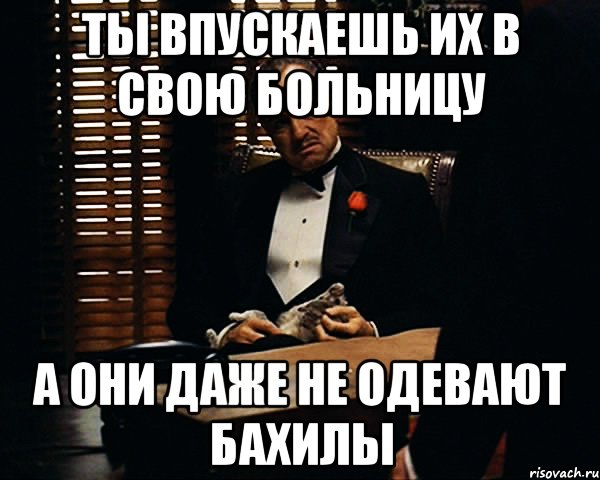 ты впускаешь их в свою больницу а они даже не одевают бахилы, Мем Дон Вито Корлеоне