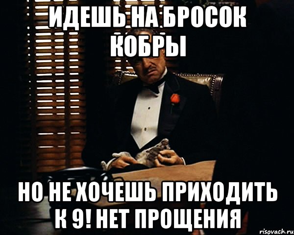 идешь на бросок кобры но не хочешь приходить к 9! нет прощения, Мем Дон Вито Корлеоне