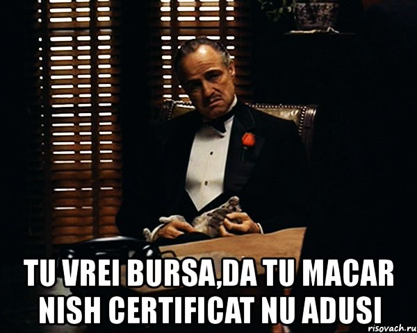  tu vrei bursa,da tu macar nish certificat nu adusi, Мем Дон Вито Корлеоне