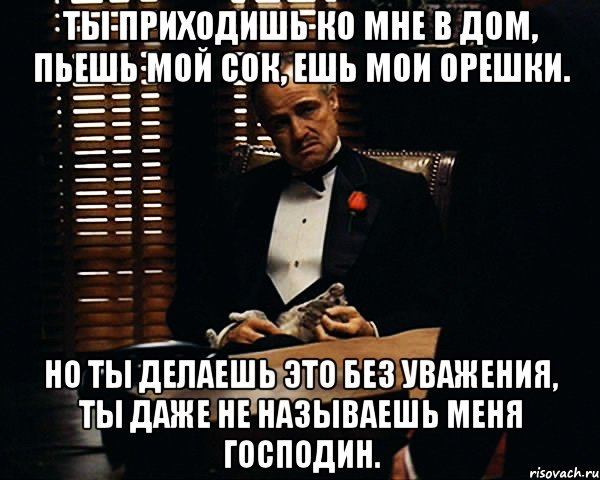 ты приходишь ко мне в дом, пьешь мой сок, ешь мои орешки. но ты делаешь это без уважения, ты даже не называешь меня господин.