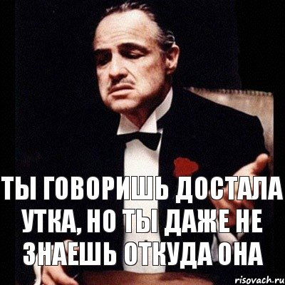 ты говоришь достала утка, но ты даже не знаешь откуда она, Комикс Дон Вито Корлеоне 1