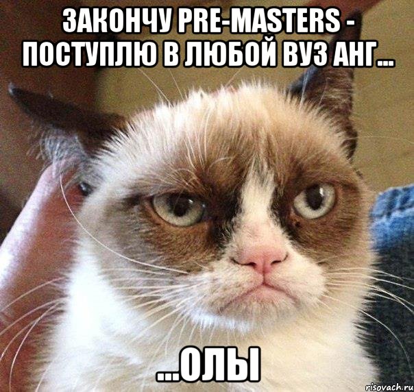 закончу pre-masters - поступлю в любой вуз анг... ...олы, Мем Грустный (сварливый) кот