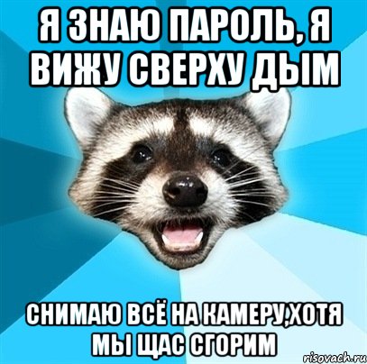 я знаю пароль, я вижу сверху дым снимаю всё на камеру,хотя мы щас сгорим, Мем Енот-Каламбурист