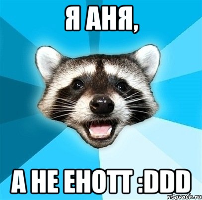 я аня, а не енотт :ddd, Мем Енот-Каламбурист