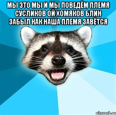 мы это мы и мы поведём племя сусликов ой хомяков блин забыл как наша племя завётся , Мем Енот-Каламбурист