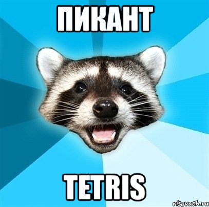 пикант tetris, Мем Енот-Каламбурист