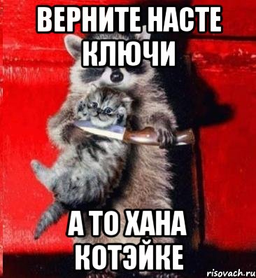 верните насте ключи а то хана котэйке, Мем  енот с котенком