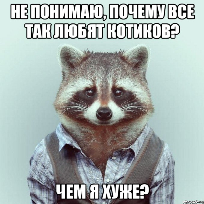 не понимаю, почему все так любят котиков? чем я хуже?, Мем  Енот в рубашке