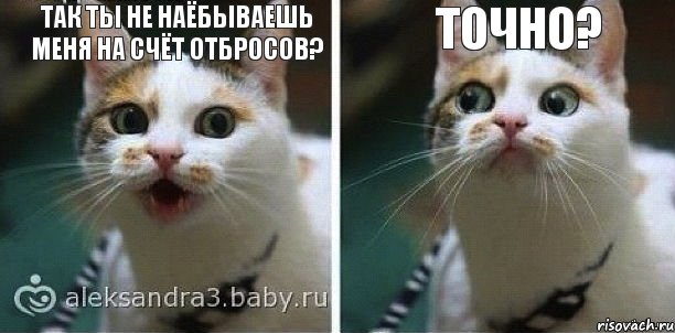 ТАК ТЫ НЕ НАЁБЫВАЕшь меня на счёт отбросов? точно?