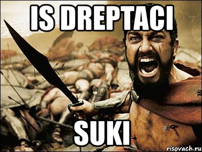 is dreptaci suki, Мем Это Спарта