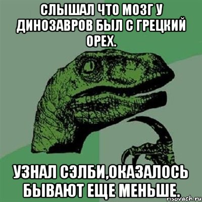 слышал что мозг у динозавров был с грецкий орех. узнал сэлби,оказалось бывают еще меньше., Мем Филосораптор