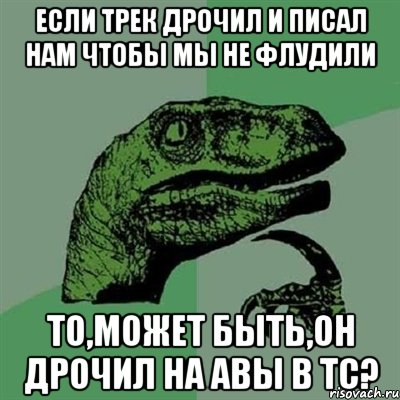 если трек дрочил и писал нам чтобы мы не флудили то,может быть,он дрочил на авы в тс?, Мем Филосораптор