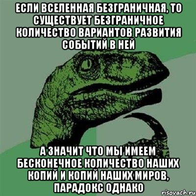 если вселенная безграничная, то существует безграничное количество вариантов развития событий в ней а значит что мы имеем бесконечное количество наших копий и копий наших миров, парадокс однако, Мем Филосораптор