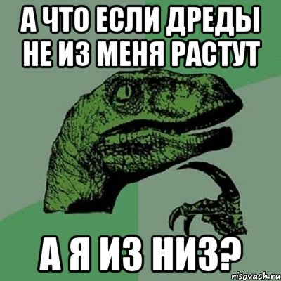 а что если дреды не из меня растут а я из низ?, Мем Филосораптор