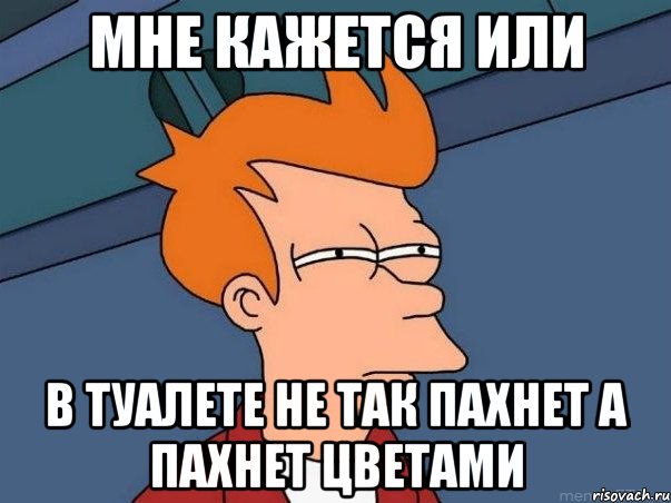 мне кажется или в туалете не так пахнет а пахнет цветами, Мем  Фрай (мне кажется или)