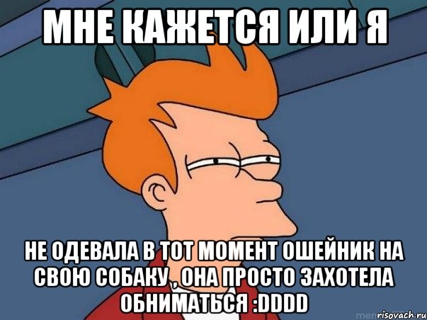 мне кажется или я не одевала в тот момент ошейник на свою собаку , она просто захотела обниматься :dddd, Мем  Фрай (мне кажется или)