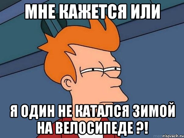 мне кажется или я один не катался зимой на велосипеде ?!, Мем  Фрай (мне кажется или)