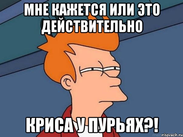 мне кажется или это действительно криса у пурьях?!, Мем  Фрай (мне кажется или)