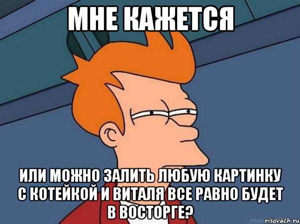 мне кажется или можно залить любую картинку с котейкой и виталя все равно будет в восторге?, Мем  Фрай (мне кажется или)