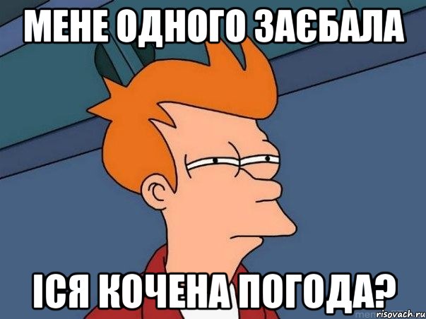 мене одного заєбала іся кочена погода?, Мем  Фрай (мне кажется или)