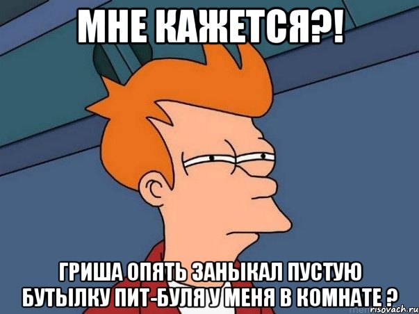 мне кажется?! гриша опять заныкал пустую бутылку пит-буля у меня в комнате ?, Мем  Фрай (мне кажется или)