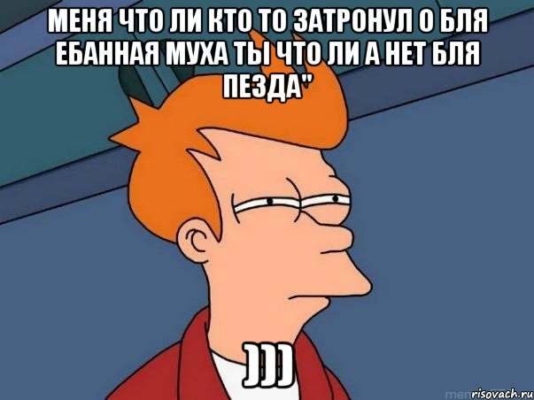 меня что ли кто то затронул о бля ебанная муха ты что ли а нет бля пезда" ))), Мем  Фрай (мне кажется или)