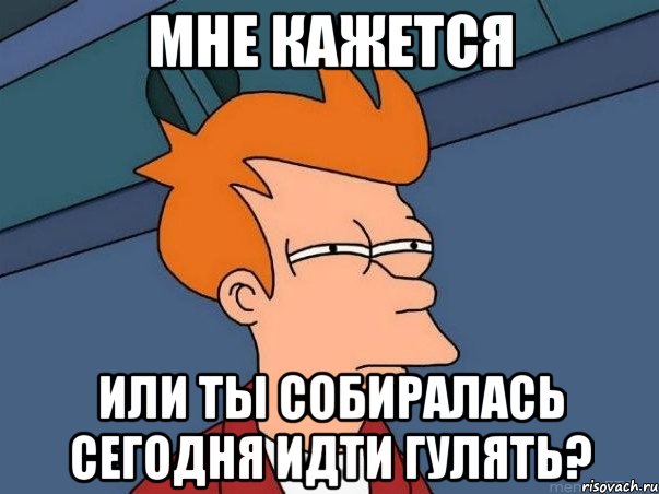 мне кажется или ты собиралась сегодня идти гулять?, Мем  Фрай (мне кажется или)