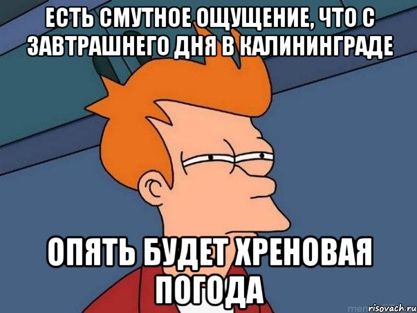 есть смутное ощущение, что с завтрашнего дня в калининграде опять будет хреновая погода, Мем  Фрай (мне кажется или)