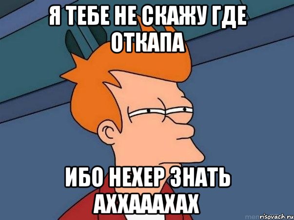 я тебе не скажу где откапа ибо нехер знать аххааахах, Мем  Фрай (мне кажется или)